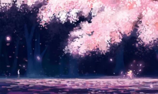 少年的花園