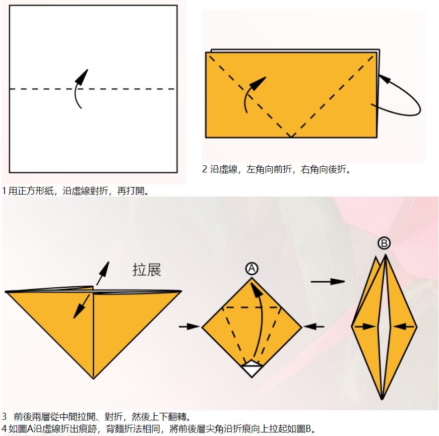 蜻蜓