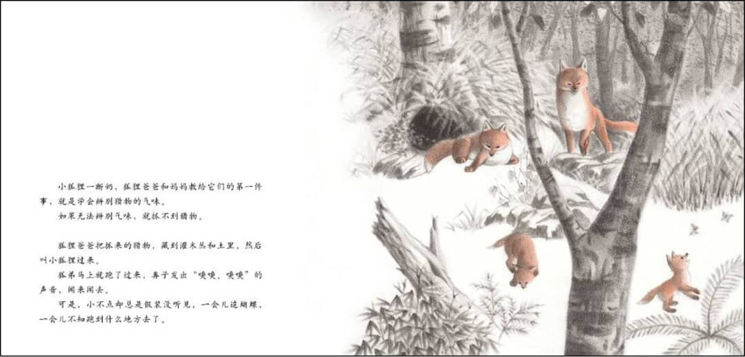 繪本故事 | 切洛努普的狐狸