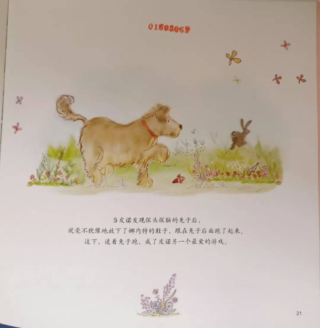 閃亮舞鞋和野餐派對