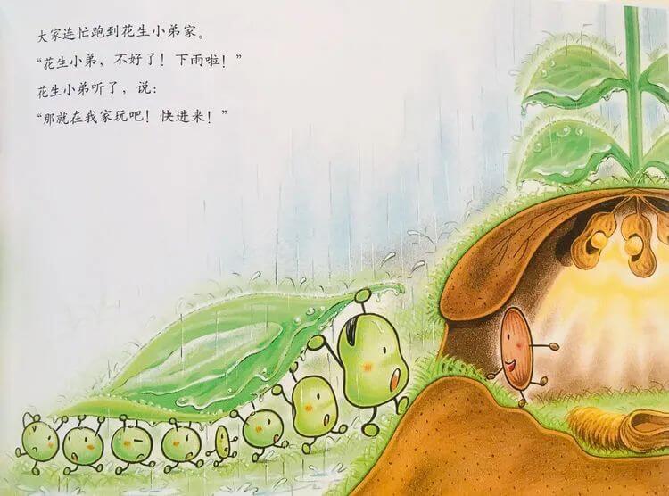 繪本故事 | 蠶豆大哥和蒲公英