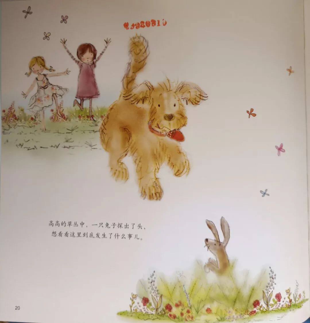 閃亮舞鞋和野餐派對