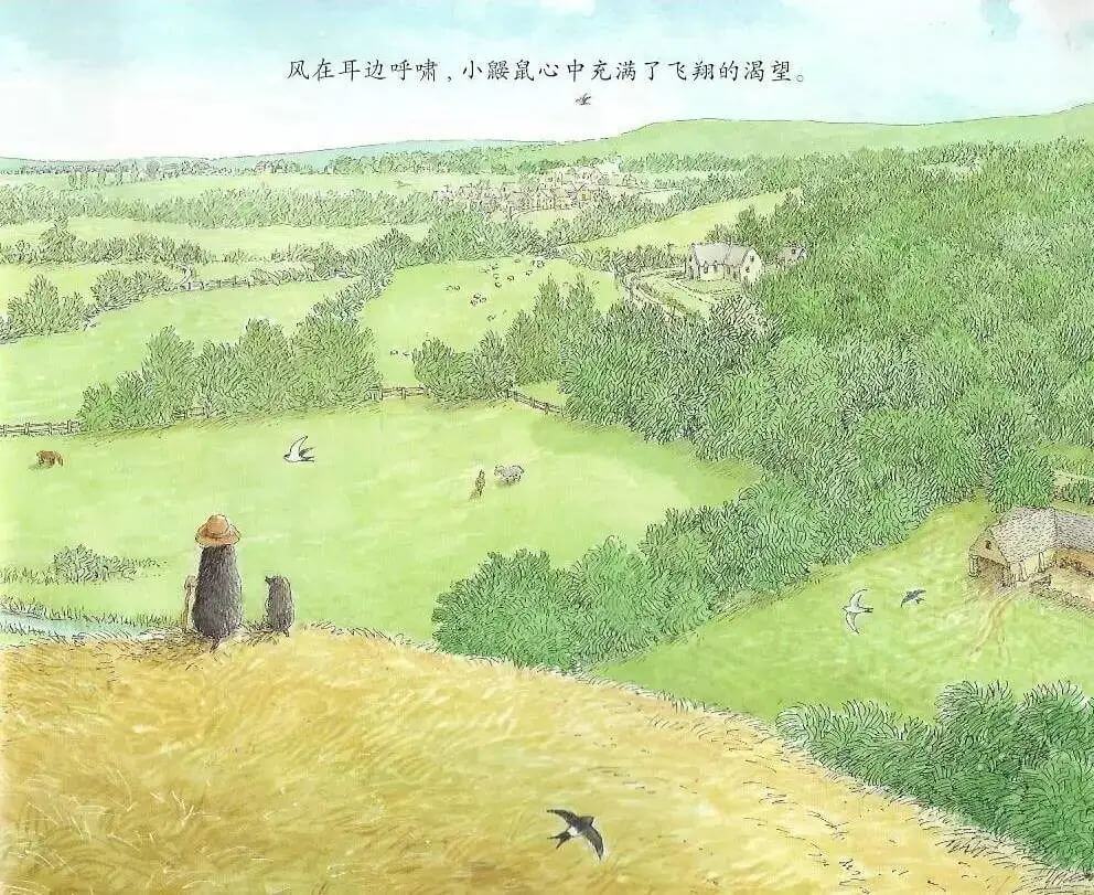 繪本故事 | 鼴鼠與小鳥