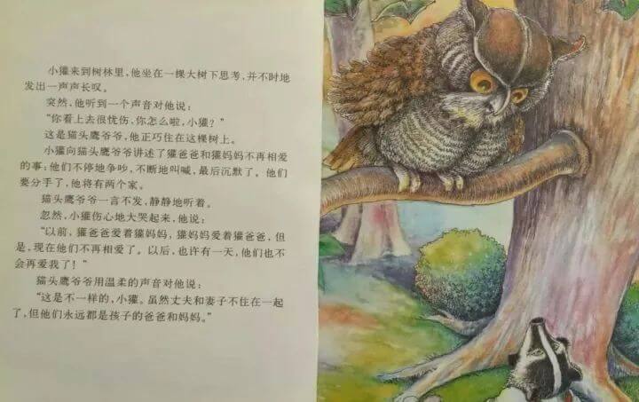 繪本故事 | 小獾的兩個家