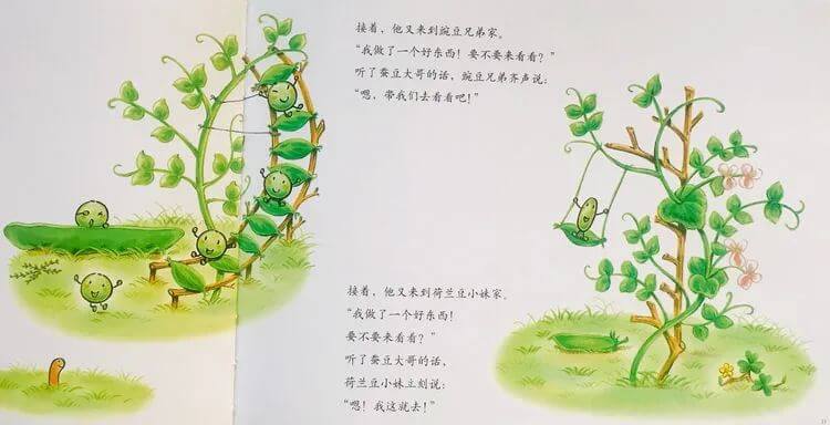 繪本故事 | 蠶豆大哥和蒲公英