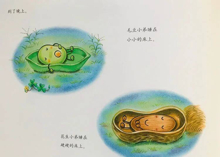 繪本故事 | 蠶豆大哥和蒲公英