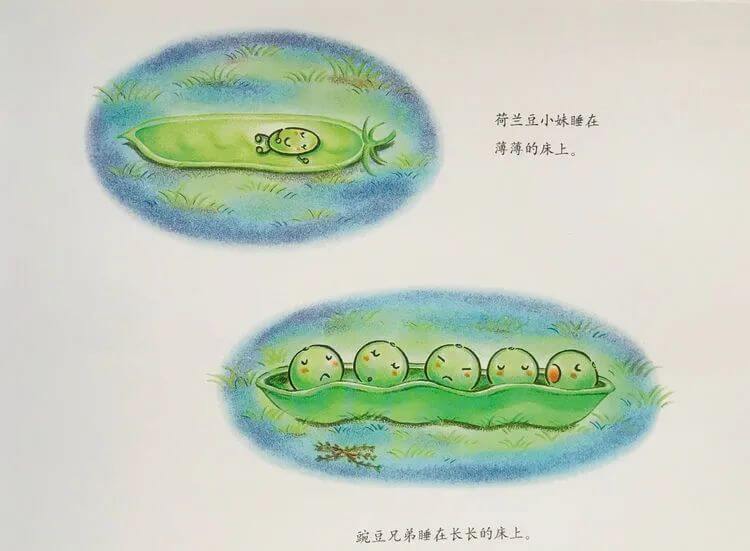 繪本故事 | 蠶豆大哥和蒲公英