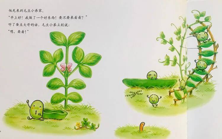 繪本故事 | 蠶豆大哥和蒲公英