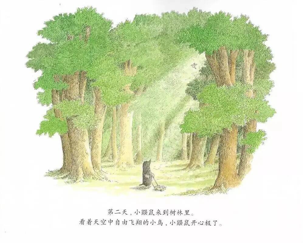 繪本故事 | 鼴鼠與小鳥
