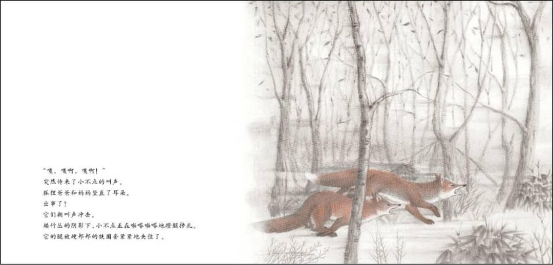 繪本故事 | 切洛努普的狐狸