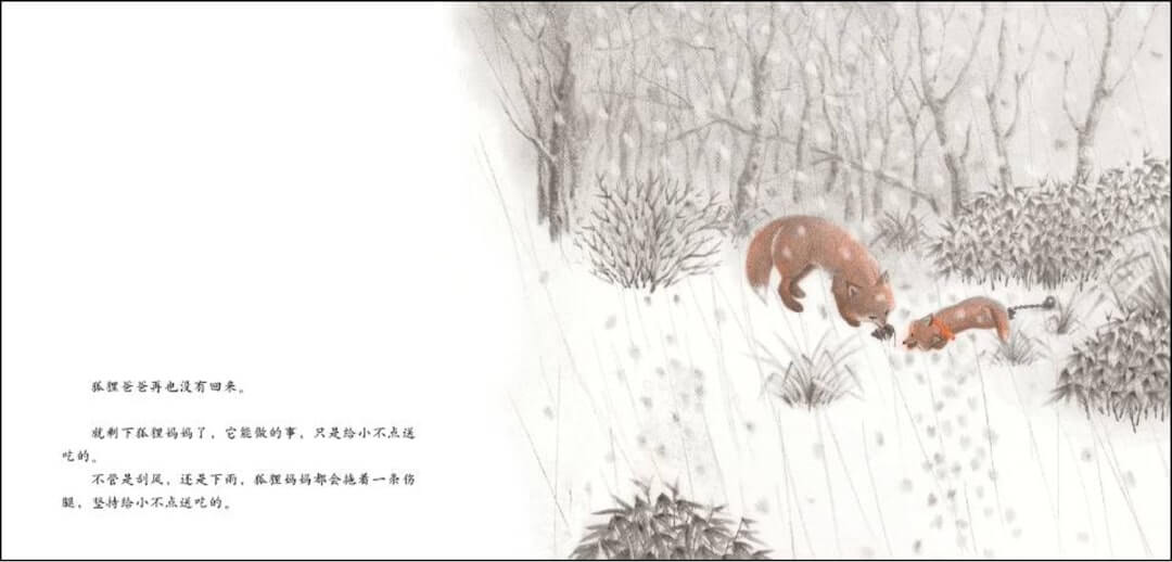 繪本故事 | 切洛努普的狐狸