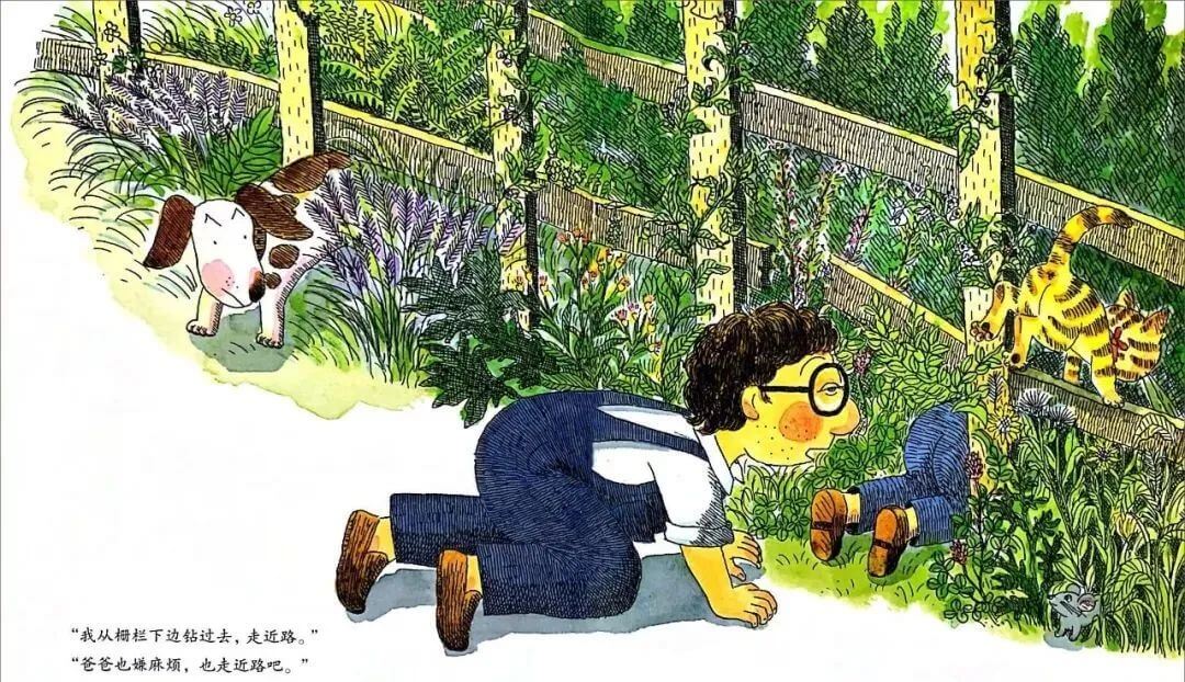 繪本故事 | 爸爸和我一起玩