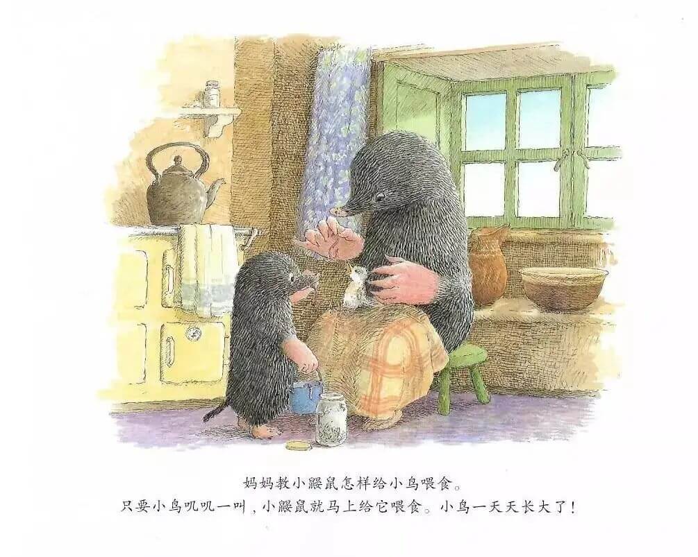 繪本故事 | 鼴鼠與小鳥