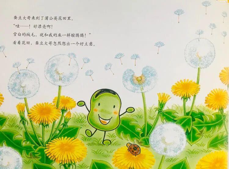 繪本故事 | 蠶豆大哥和蒲公英