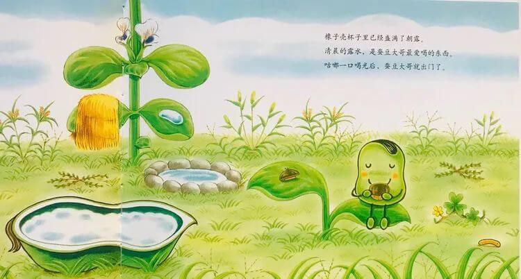繪本故事 | 蠶豆大哥和蒲公英