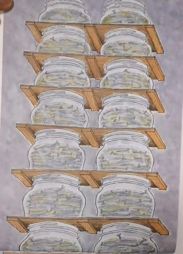兒童故事 | 藍鯨是最大的嗎