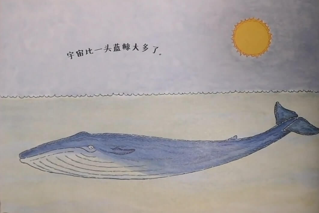 兒童故事 | 藍鯨是最大的嗎