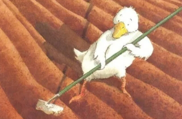 英文故事 | 鴨子農夫(Farmer Duck)