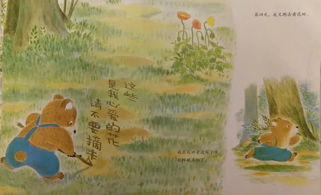 繪本故事 | 我的花開了，可是