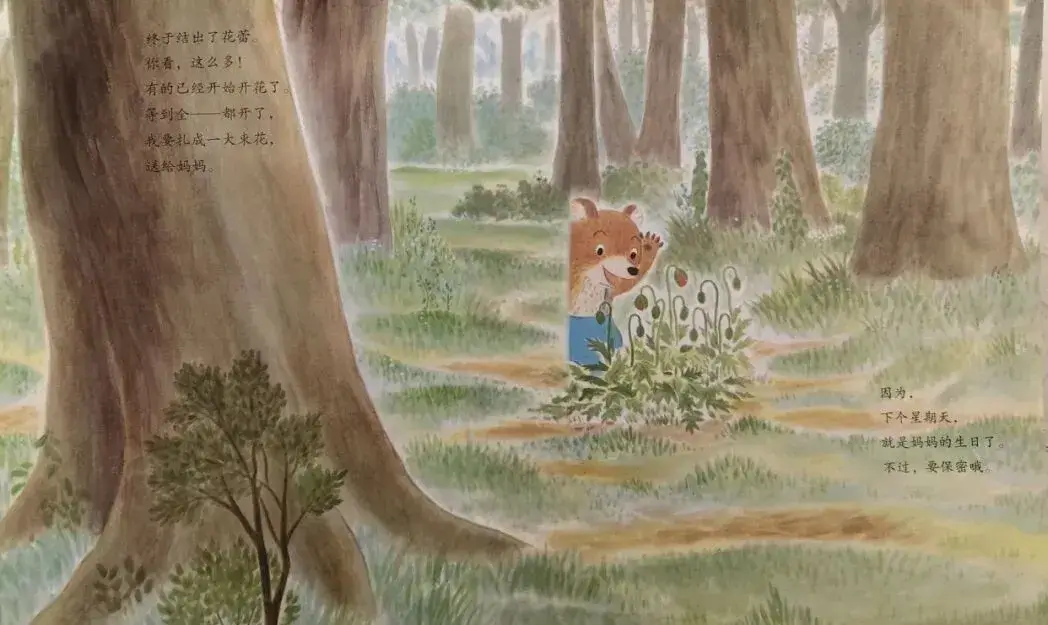 繪本故事 | 我的花開了，可是