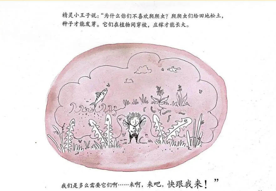 繪本故事 | 精靈小王子