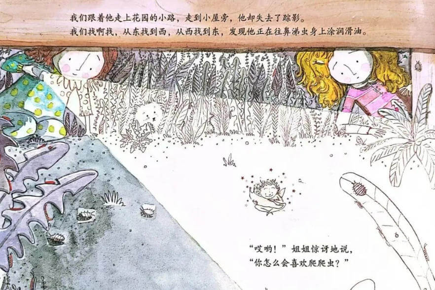 繪本故事 | 精靈小王子