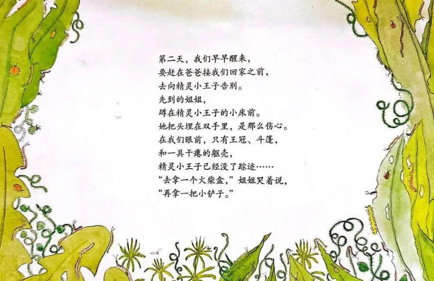 繪本故事 | 精靈小王子