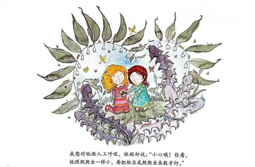繪本故事 | 精靈小王子