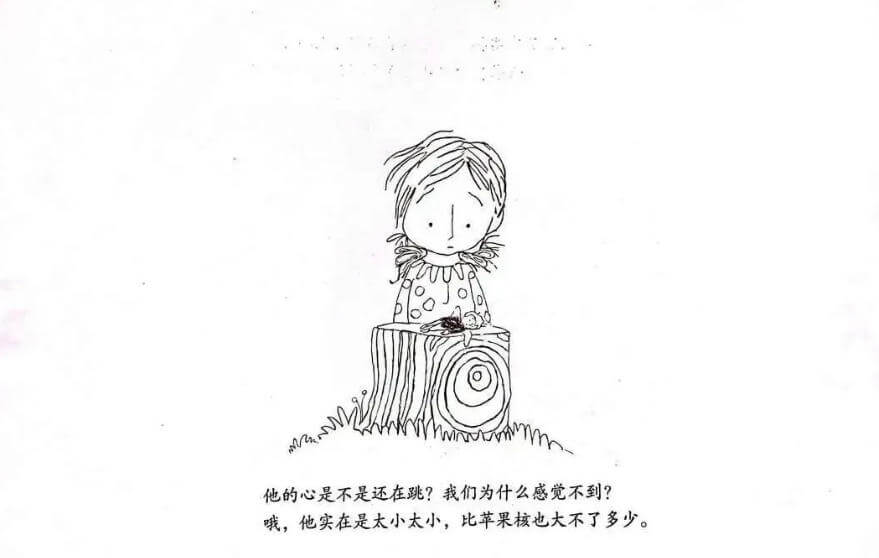 繪本故事 | 精靈小王子