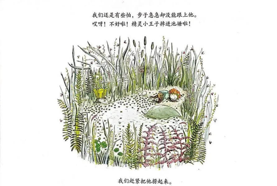 繪本故事 | 精靈小王子