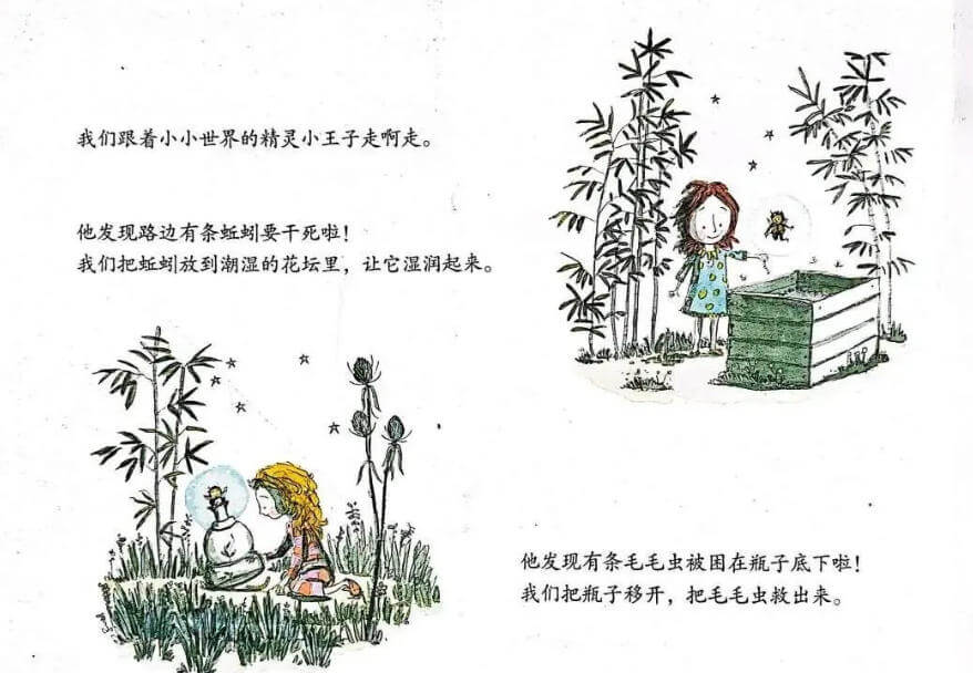 繪本故事 | 精靈小王子