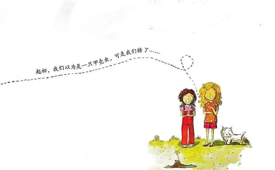 繪本故事 | 精靈小王子