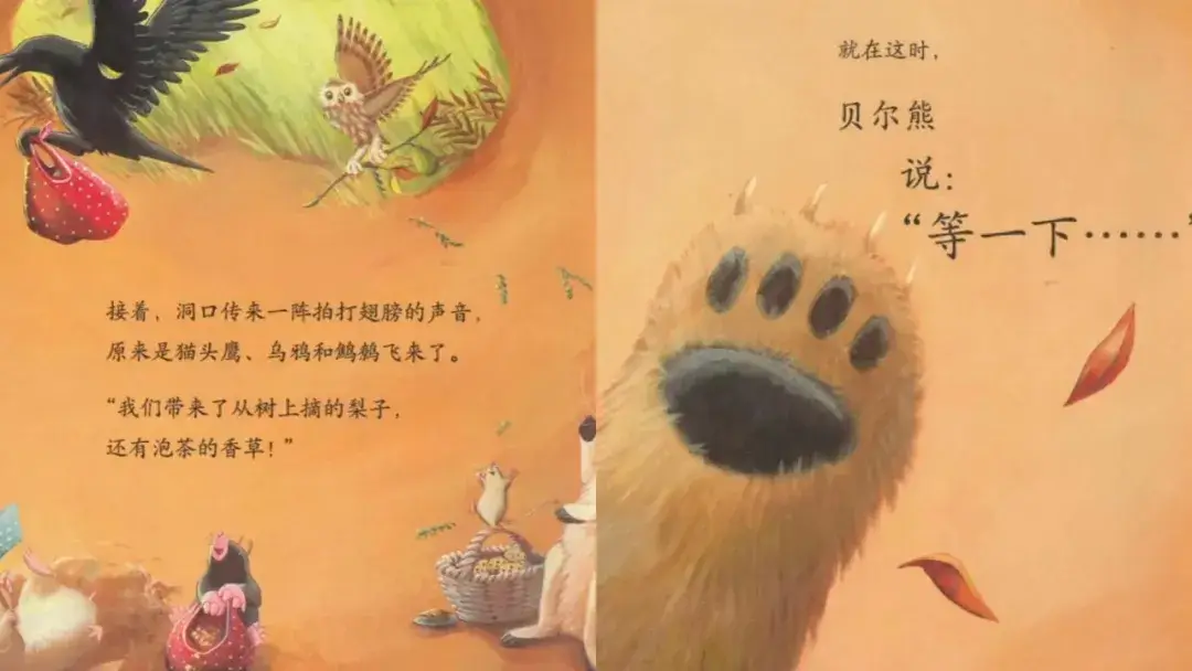 繪本故事 | 貝爾熊說謝謝
