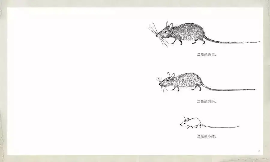繪本故事 | 鼠小妹離家記