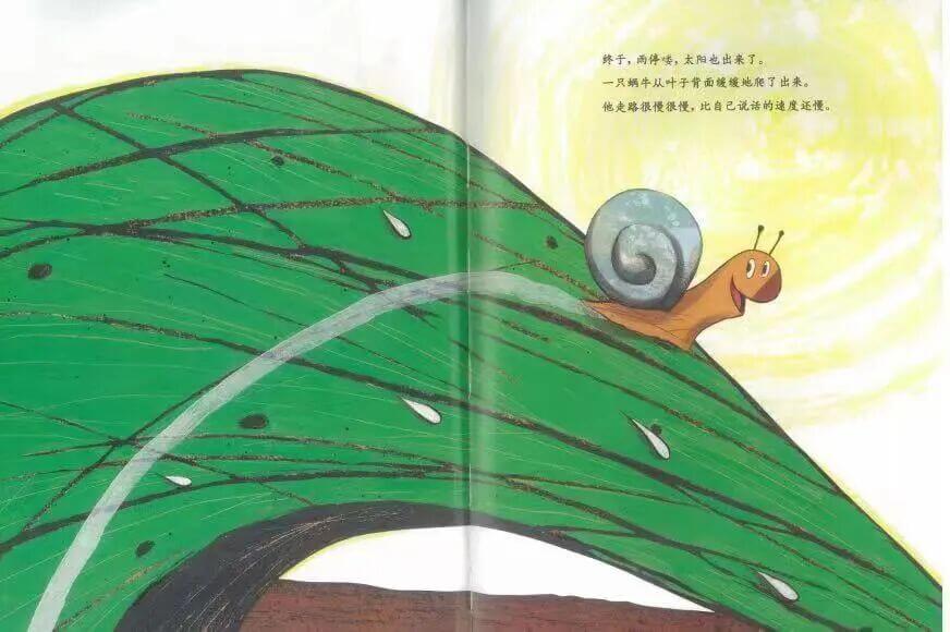 繪本故事 | 很慢很慢的蝸牛