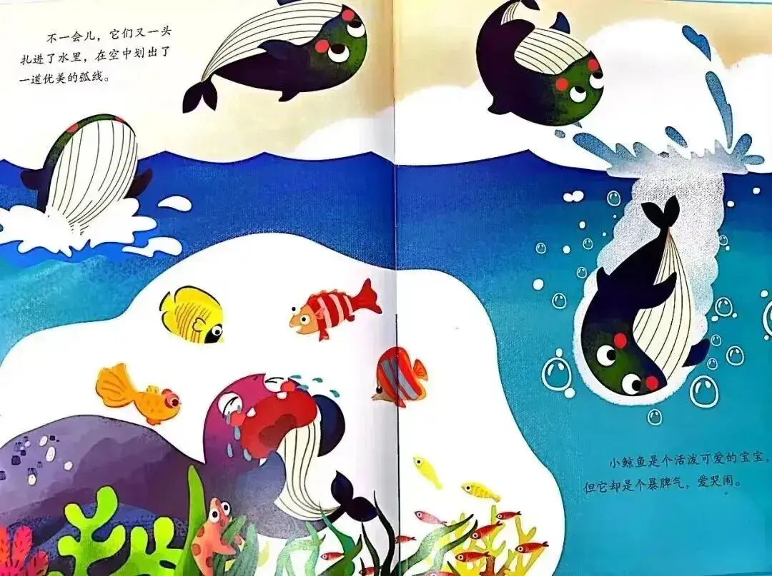 不亂發脾氣的小鯨魚
