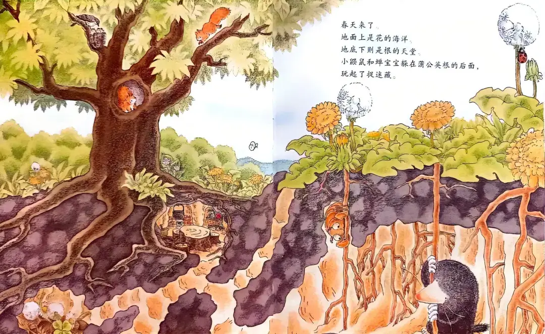 繪本故事 | 小鼴鼠和蟬寶寶