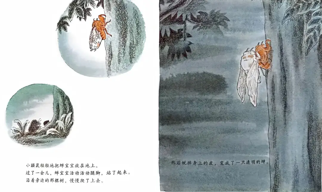 繪本故事 | 小鼴鼠和蟬寶寶