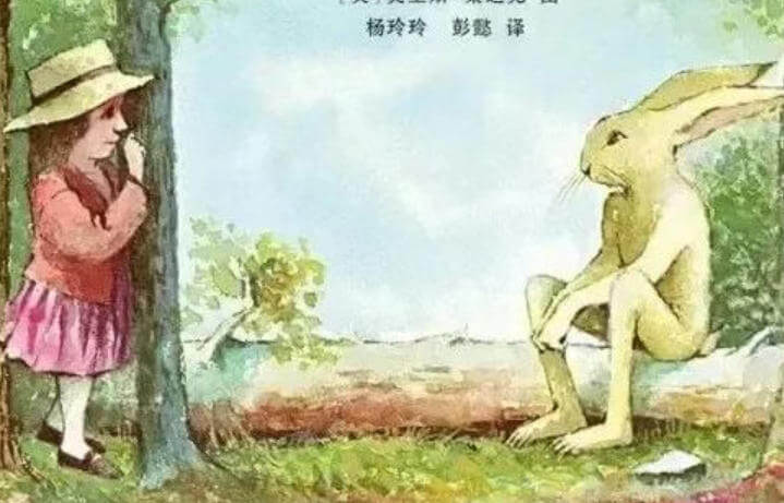 小故事 | 兔子先生和美好的禮物