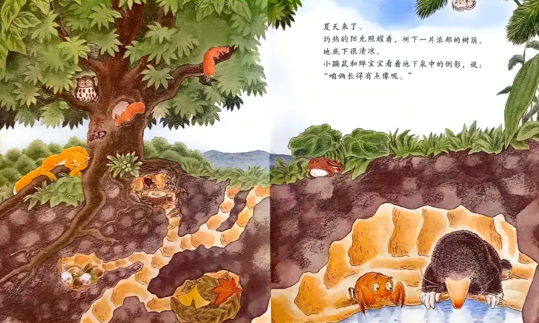 繪本故事 | 小鼴鼠和蟬寶寶