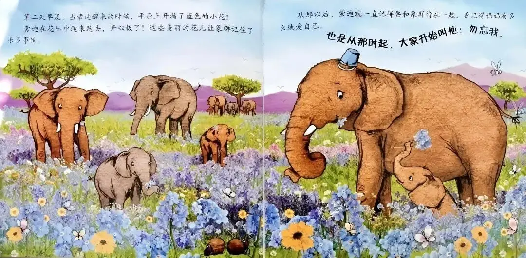 繪本故事｜小象找不到媽媽了12.webp