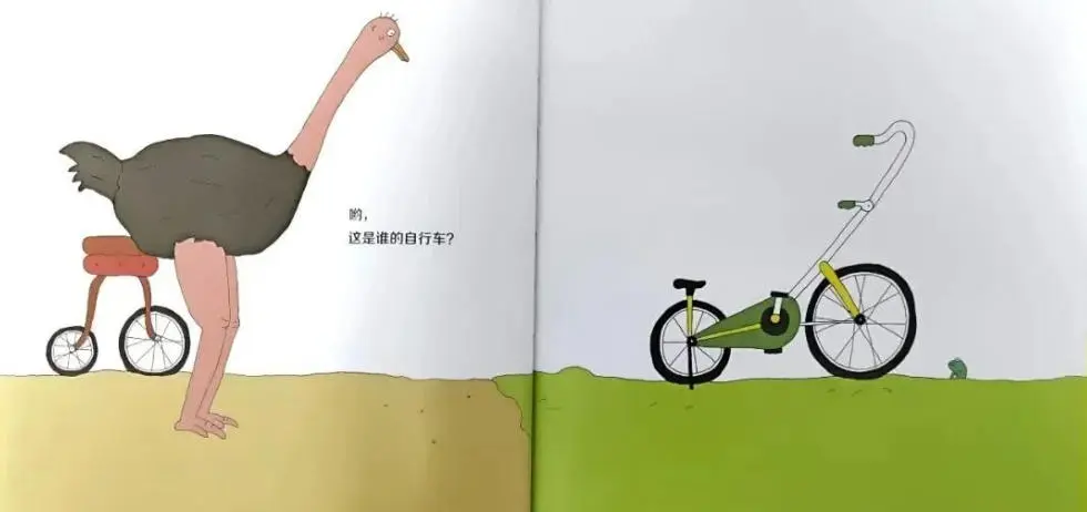 15.webp